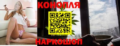 прущие грибы Комсомольск-на-Амуре