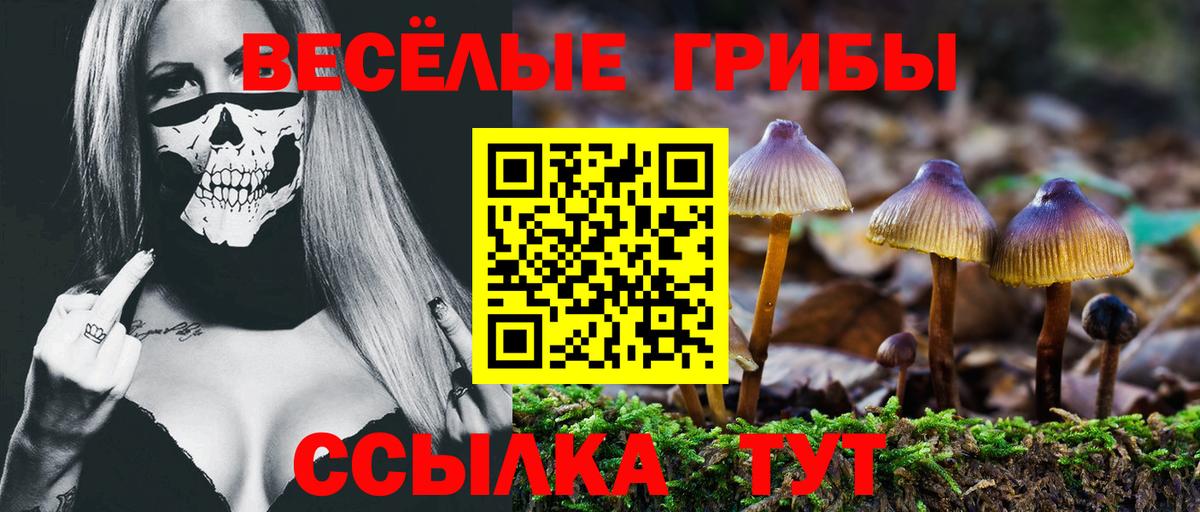 наркота  Вход с VPN  Благовещенск  Псилоцибиновые грибы Psilocybe 