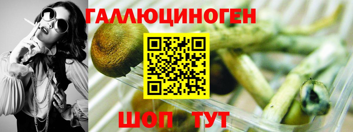 Псилоцибиновые грибы мицелий Благовещенск